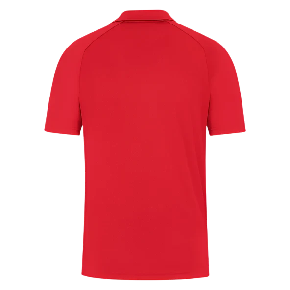 Mens Nike Dri-FIT Team Training Polo Nike