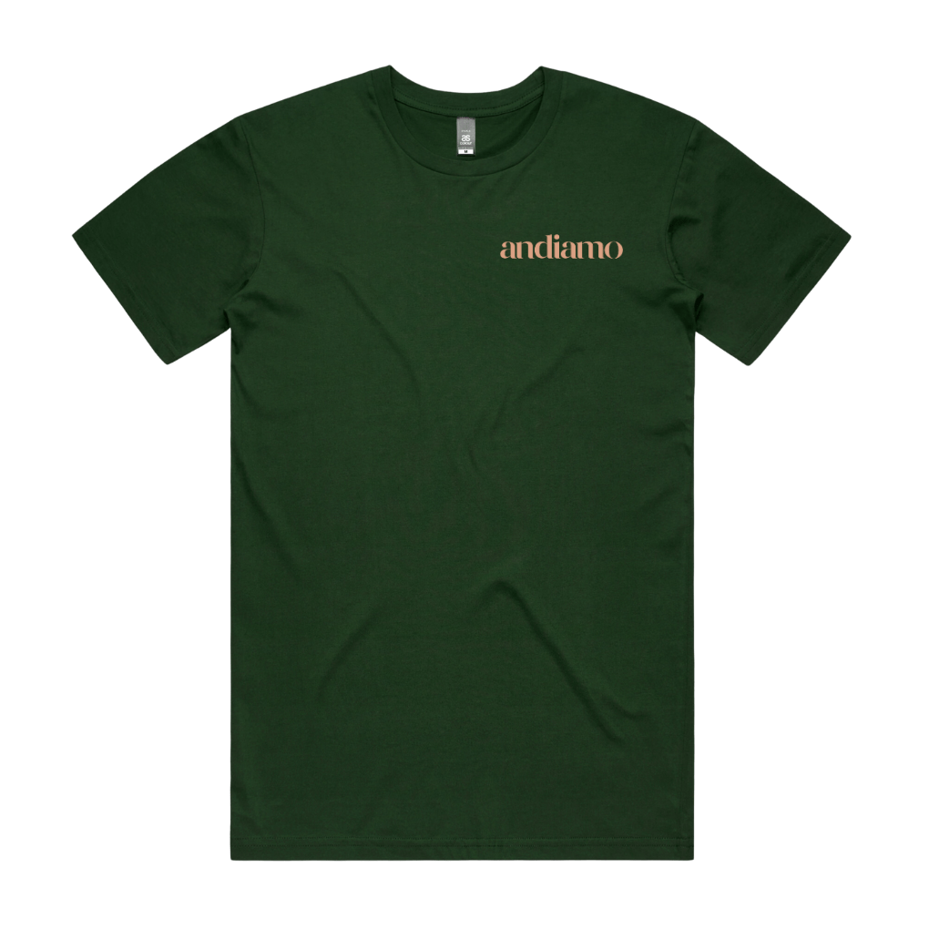Andiamo Men's Staple Tee AS Colour