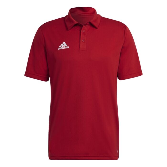 Entrada Polo Teamsports