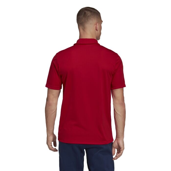 Entrada Polo Teamsports
